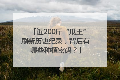 近200斤“瓜王”刷新历史纪录，背后有哪些种植密码？