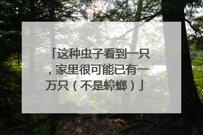 这种虫子看到一只，家里很可能已有一万只（不是蟑螂）