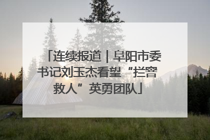 连续报道｜阜阳市委书记刘玉杰看望“拦窨救人”英勇团队
