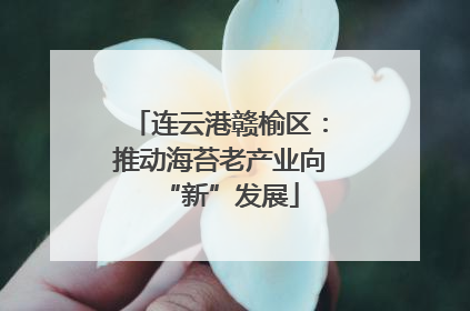 连云港赣榆区：推动海苔老产业向“新”发展