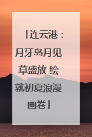 连云港：月牙岛月见草盛放 绘就初夏浪漫画卷