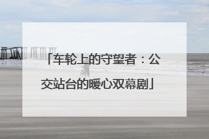 车轮上的守望者：公交站台的暖心双幕剧