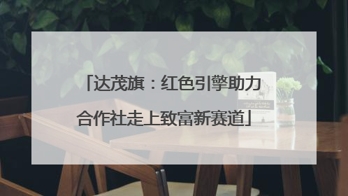 达茂旗：红色引擎助力合作社走上致富新赛道