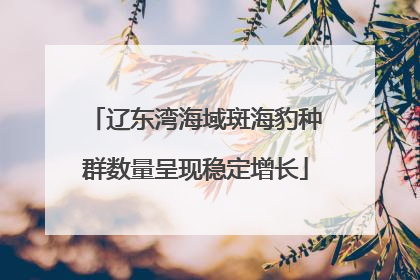 辽东湾海域斑海豹种群数量呈现稳定增长