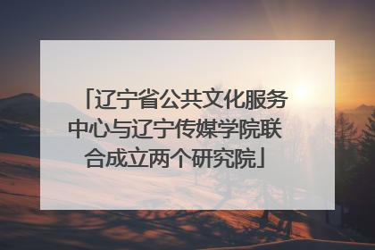 辽宁省公共文化服务中心与辽宁传媒学院联合成立两个研究院