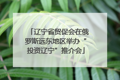 辽宁省贸促会在俄罗斯远东地区举办“投资辽宁”推介会