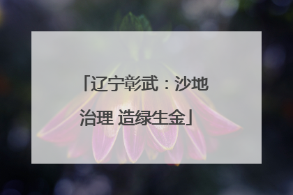 辽宁彰武：沙地治理 造绿生金