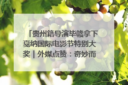 贵州籍导演毕赣拿下戛纳国际电影节特别大奖｜外媒点赞：奇妙而广阔的纯粹电影梦