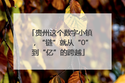 贵州这个数字小镇，“链”就从“0”到“亿”的跨越