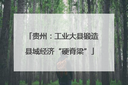 贵州：工业大县锻造县域经济“硬脊梁”