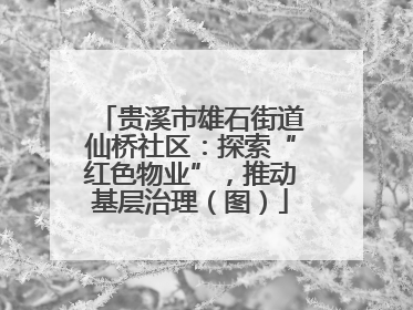 贵溪市雄石街道仙桥社区：探索“红色物业”，推动基层治理（图）