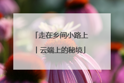 走在乡间小路上丨云端上的秘境