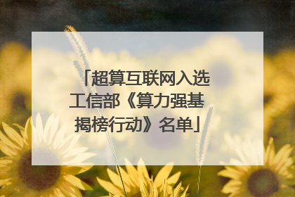 超算互联网入选工信部《算力强基揭榜行动》名单