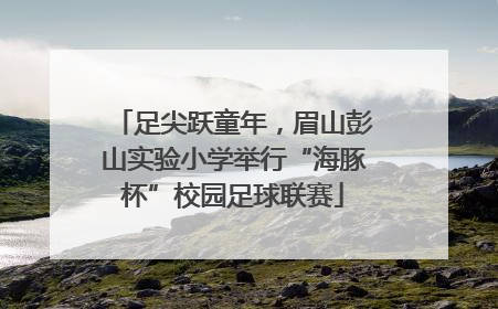 足尖跃童年，眉山彭山实验小学举行“海豚杯”校园足球联赛