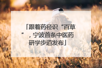 跟着药径识“百草”，宁波首条中医药研学步道发布