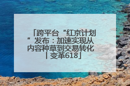 跨平台“红京计划”发布：加速实现从内容种草到交易转化丨变革618