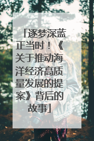 逐梦深蓝正当时！《关于推动海洋经济高质量发展的提案》背后的故事