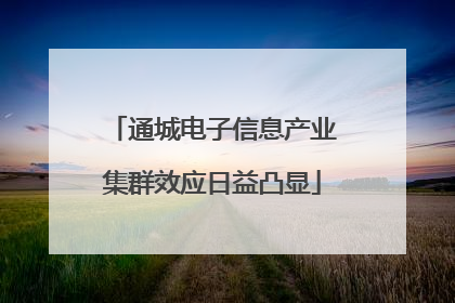 通城电子信息产业集群效应日益凸显