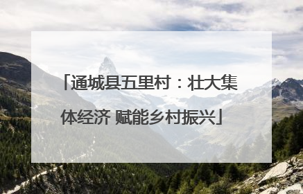 通城县五里村：壮大集体经济 赋能乡村振兴