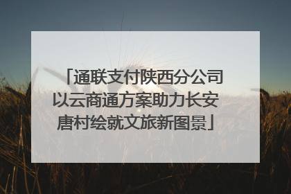 通联支付陕西分公司以云商通方案助力长安唐村绘就文旅新图景