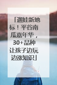 遛娃新地标！平谷南瓜嘉年华，30+品种让孩子边玩边涨知识