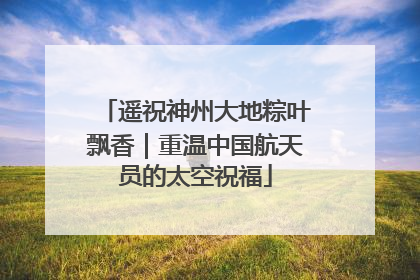 遥祝神州大地粽叶飘香｜重温中国航天员的太空祝福