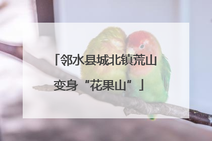 邻水县城北镇荒山变身“花果山”