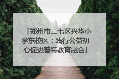 郑州市二七区兴华小学东校区：践行公益初心促进普特教育融合