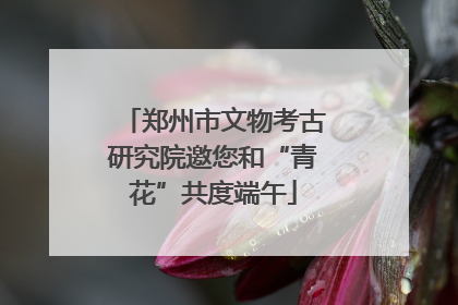郑州市文物考古研究院邀您和“青花”共度端午