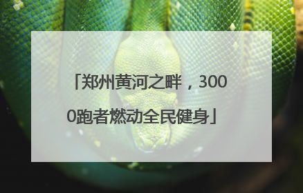 郑州黄河之畔，3000跑者燃动全民健身