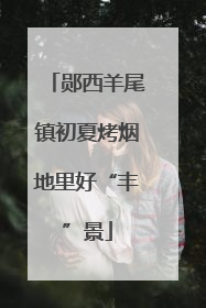 郧西羊尾镇初夏烤烟地里好“丰”景