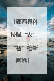 郧西县科技赋“农”“智”绘新画卷