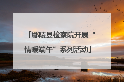 鄢陵县检察院开展“情暖端午”系列活动