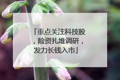 重点关注科技股，险资扎堆调研，发力长钱入市