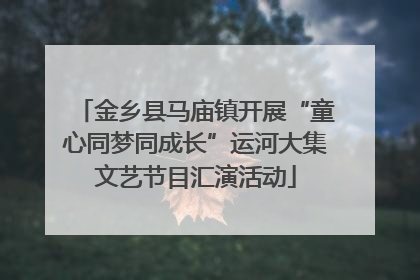 金乡县马庙镇开展“童心同梦同成长”运河大集文艺节目汇演活动