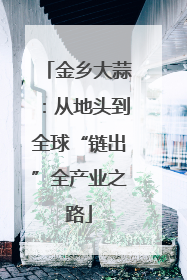 金乡大蒜：从地头到全球“链出”全产业之路