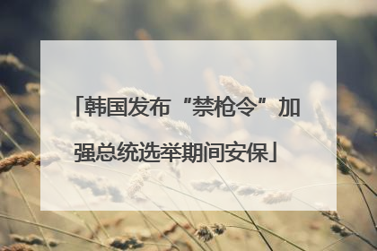 韩国发布“禁枪令”加强总统选举期间安保