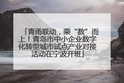 青甬联动，乘“数”而上！青岛市中小企业数字化转型城市试点产业对接活动在宁波开班