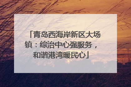 青岛西海岸新区大场镇：综治中心强服务，和谐港湾暖民心