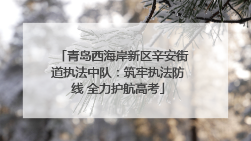 青岛西海岸新区辛安街道执法中队：筑牢执法防线 全力护航高考