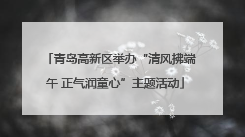 青岛高新区举办“清风拂端午 正气润童心”主题活动