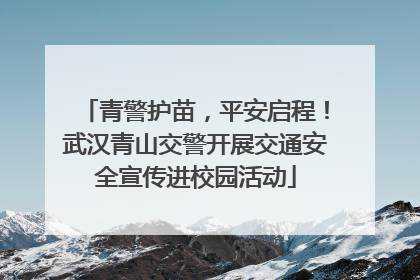 青警护苗，平安启程！武汉青山交警开展交通安全宣传进校园活动