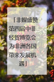 非媒盛赞第四届中非经贸博览会为非洲各国带来发展机遇