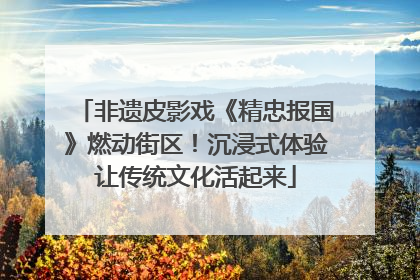 非遗皮影戏《精忠报国》燃动街区！沉浸式体验让传统文化活起来