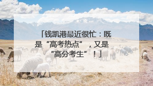 钱凯港最近很忙：既是“高考热点”，又是“高分考生”！