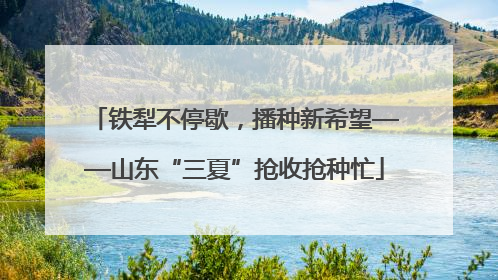 铁犁不停歇，播种新希望——山东“三夏”抢收抢种忙