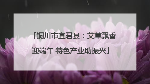 铜川市宜君县：艾草飘香迎端午 特色产业助振兴