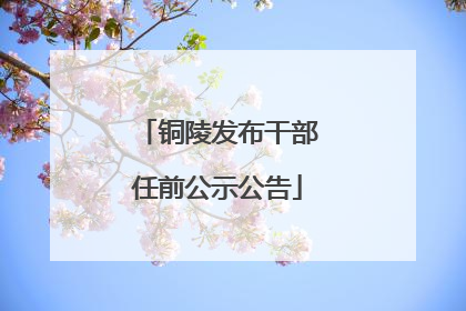 铜陵发布干部任前公示公告