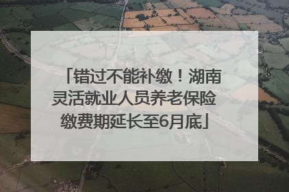 错过不能补缴！湖南灵活就业人员养老保险缴费期延长至6月底
