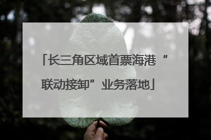 长三角区域首票海港“联动接卸”业务落地